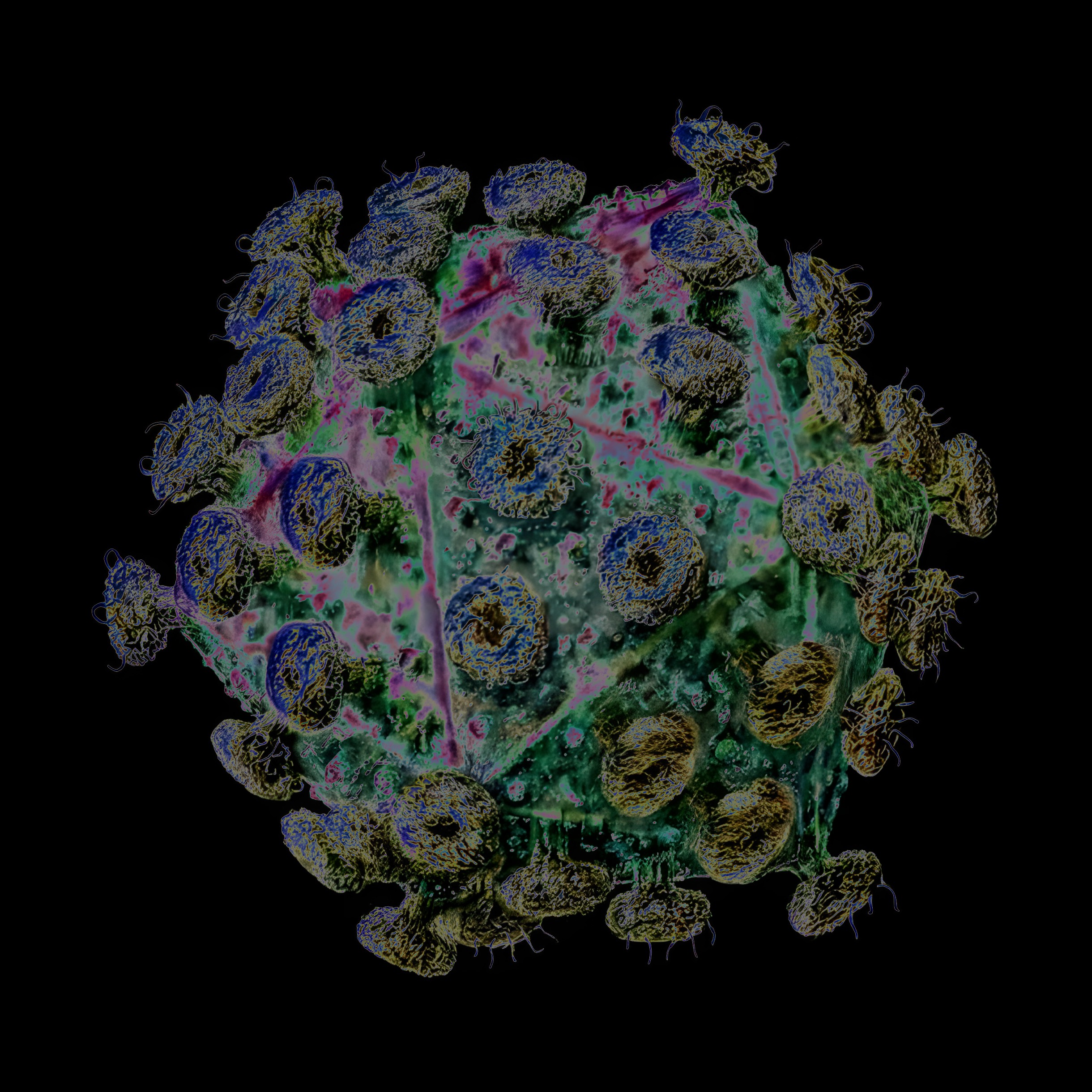 Description of the image