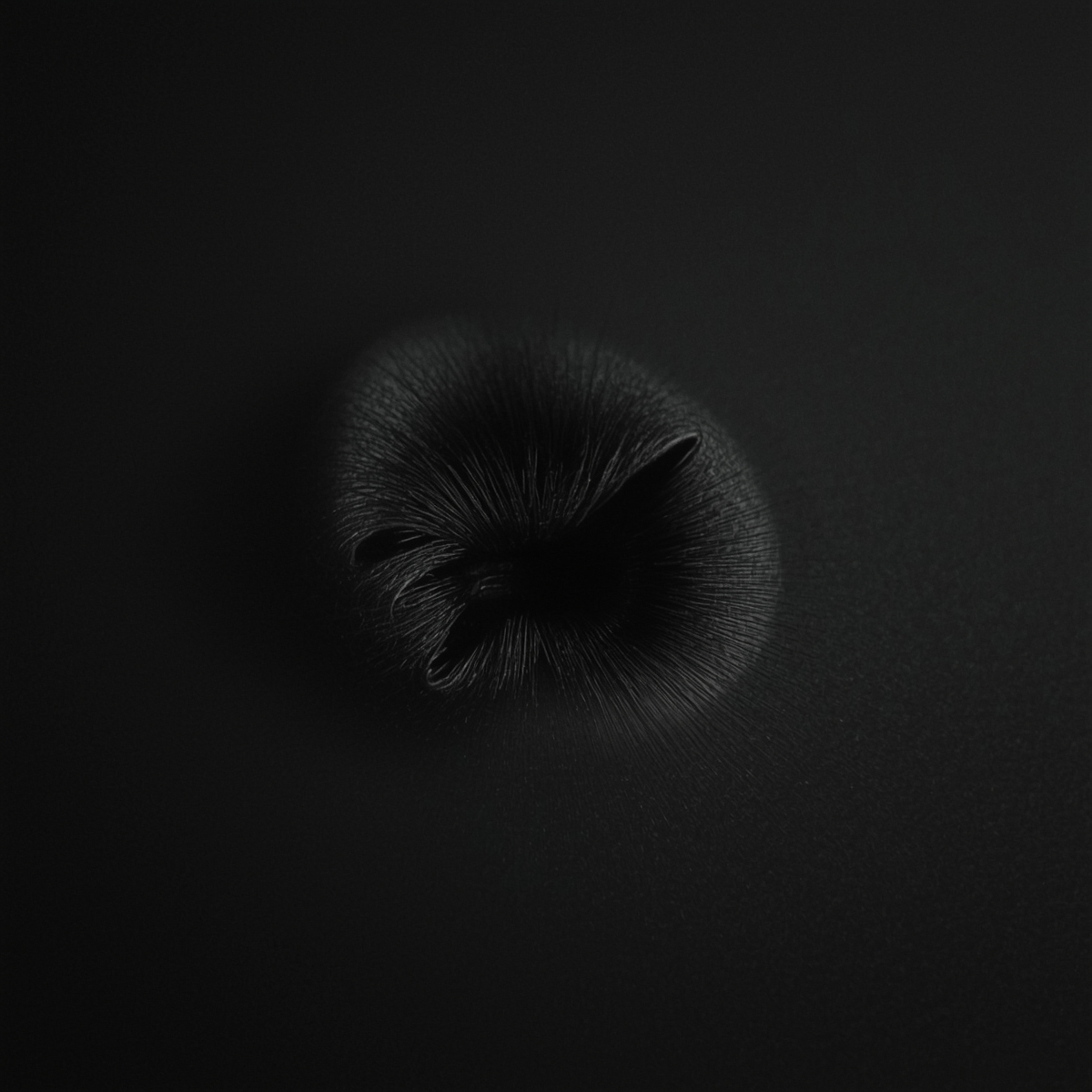 Hiroshi Sugimoto: Lightning Fields, 2009