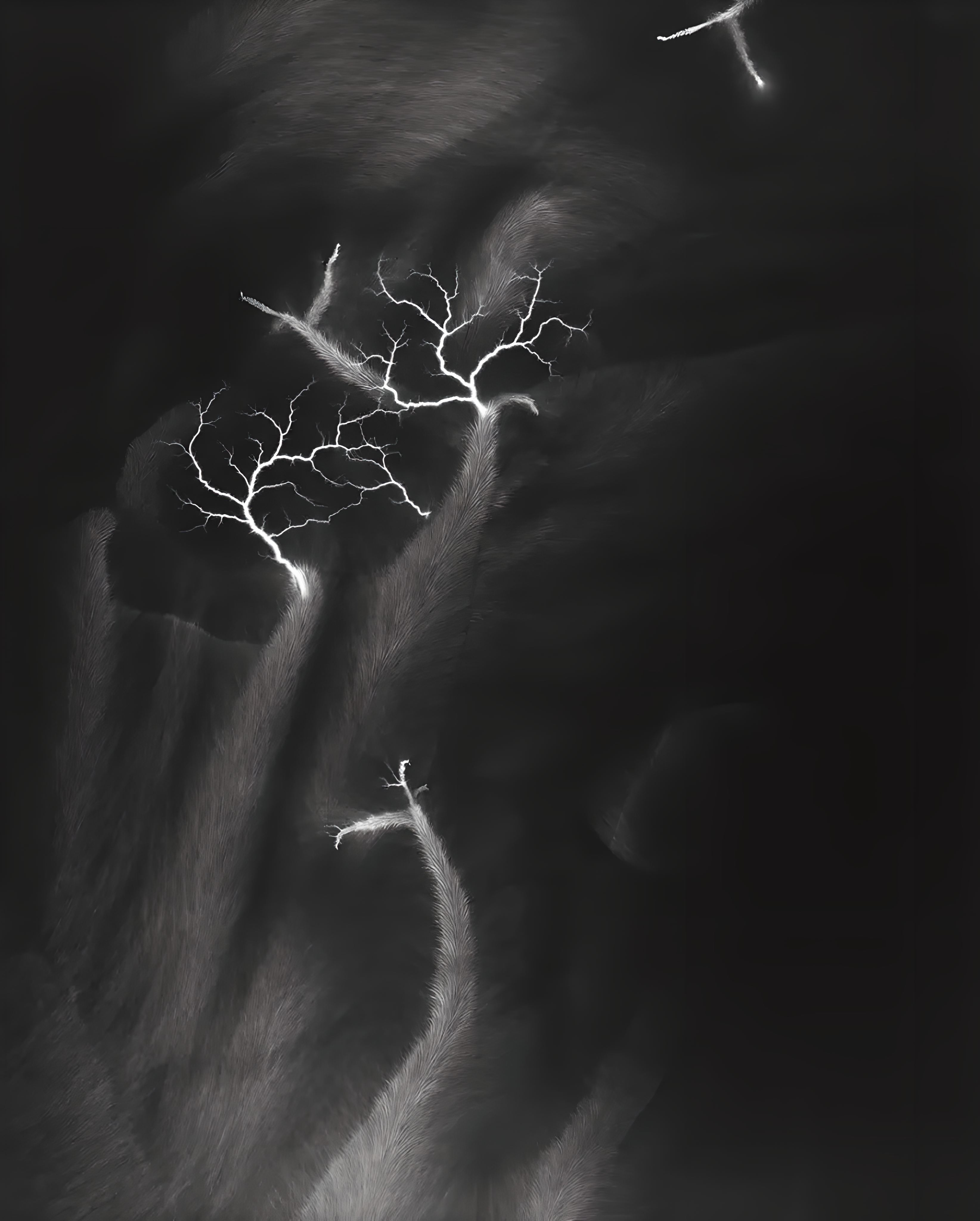 Hiroshi Sugimoto: Lightning Fields