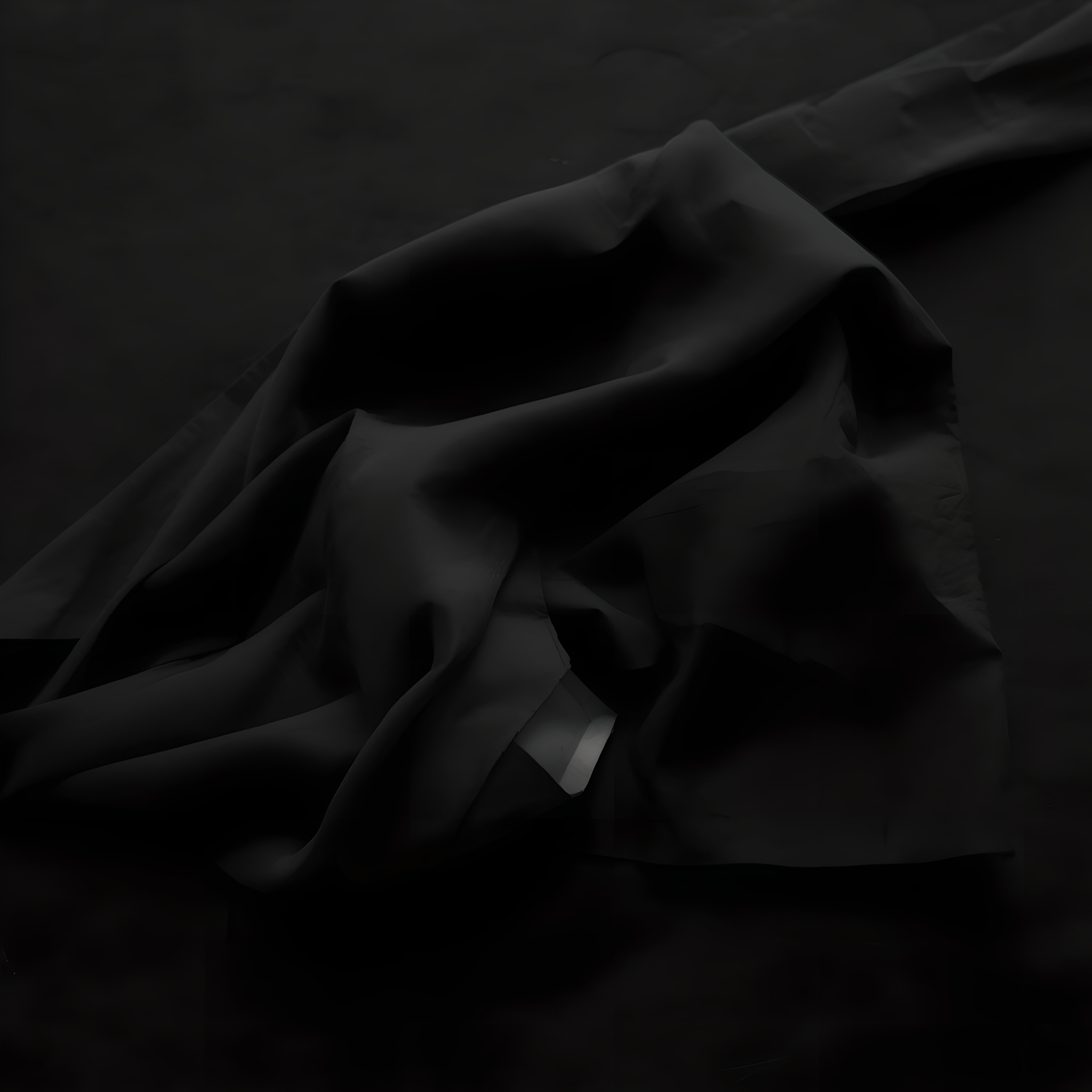 Hiroshi Sugimoto: Lightning Fields